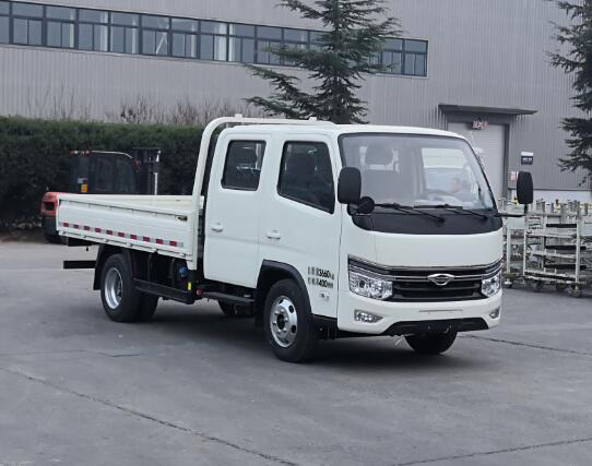 福田牌BJ1045V8AB6-30载货汽车公告图片