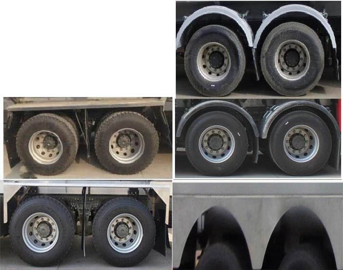 岱陽(yáng)牌TAG5321GYYT運(yùn)油車(chē)公告圖片