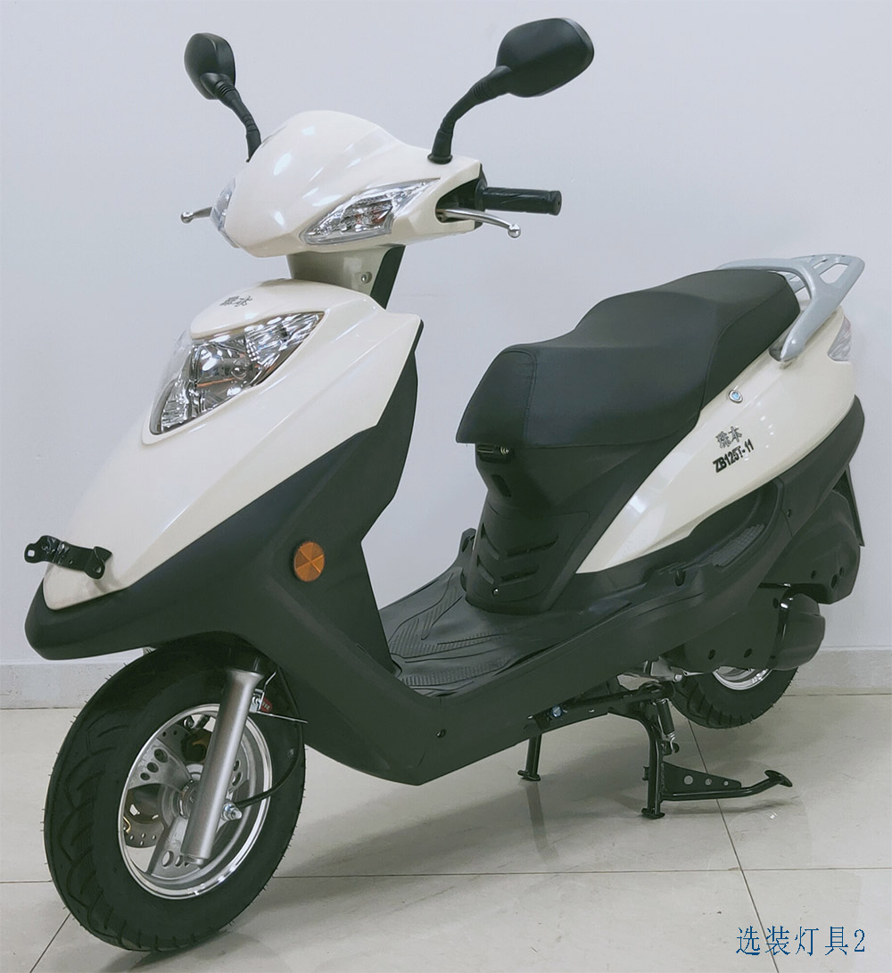 珠本牌ZB125T-11两轮摩托车公告图片