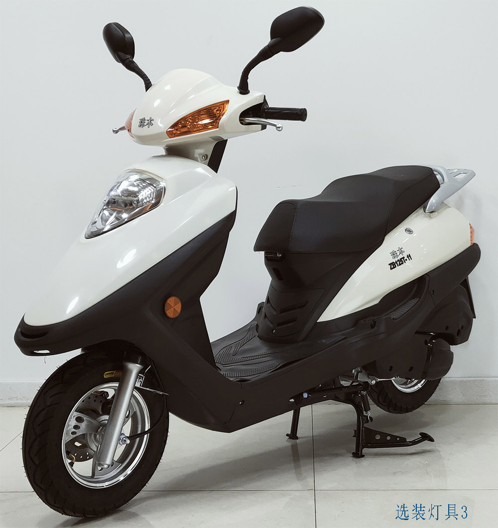 珠本牌ZB125T-11两轮摩托车公告图片