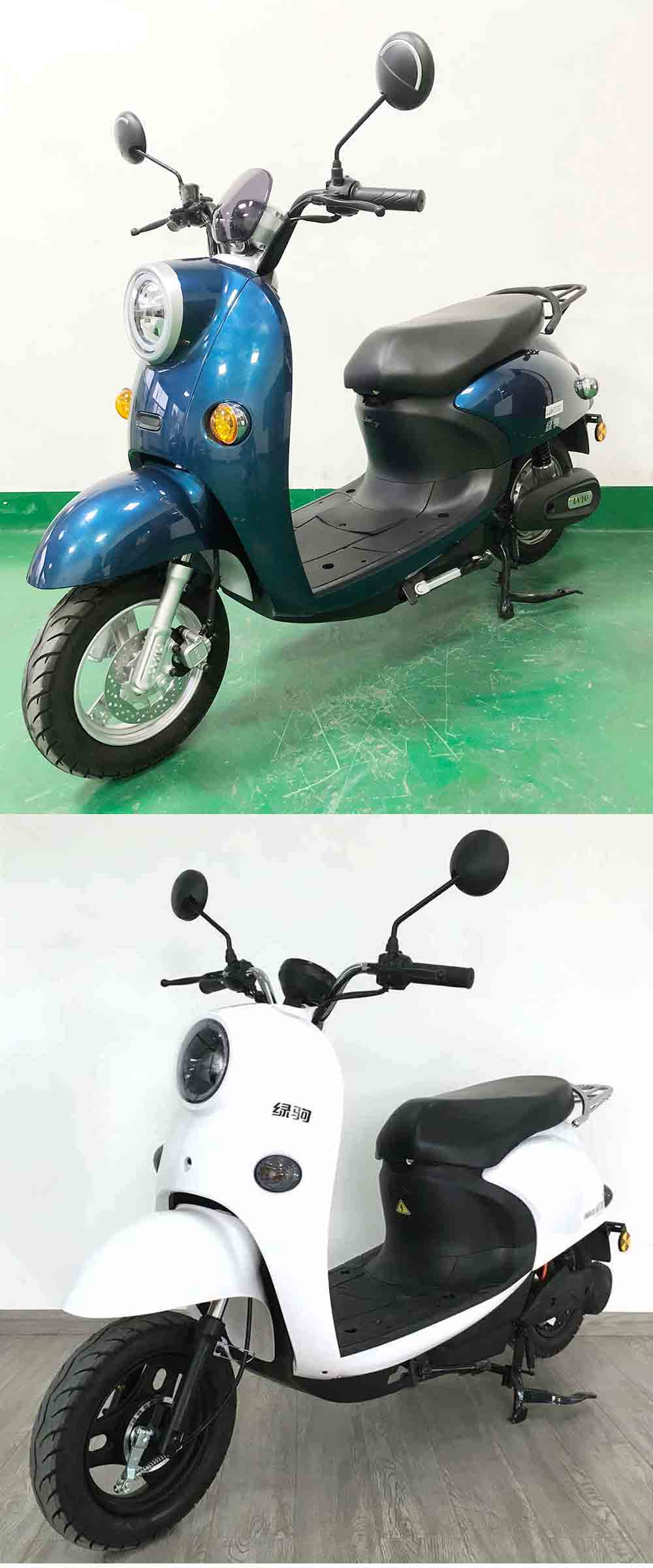 绿驹牌LJ600DQT电动两轮轻便摩托车公告图片