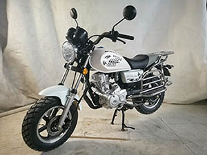 珠峰牌ZF150-8A两轮摩托车图片