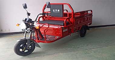 飞肯牌FK1500DZH-2电动正三轮摩托车图片