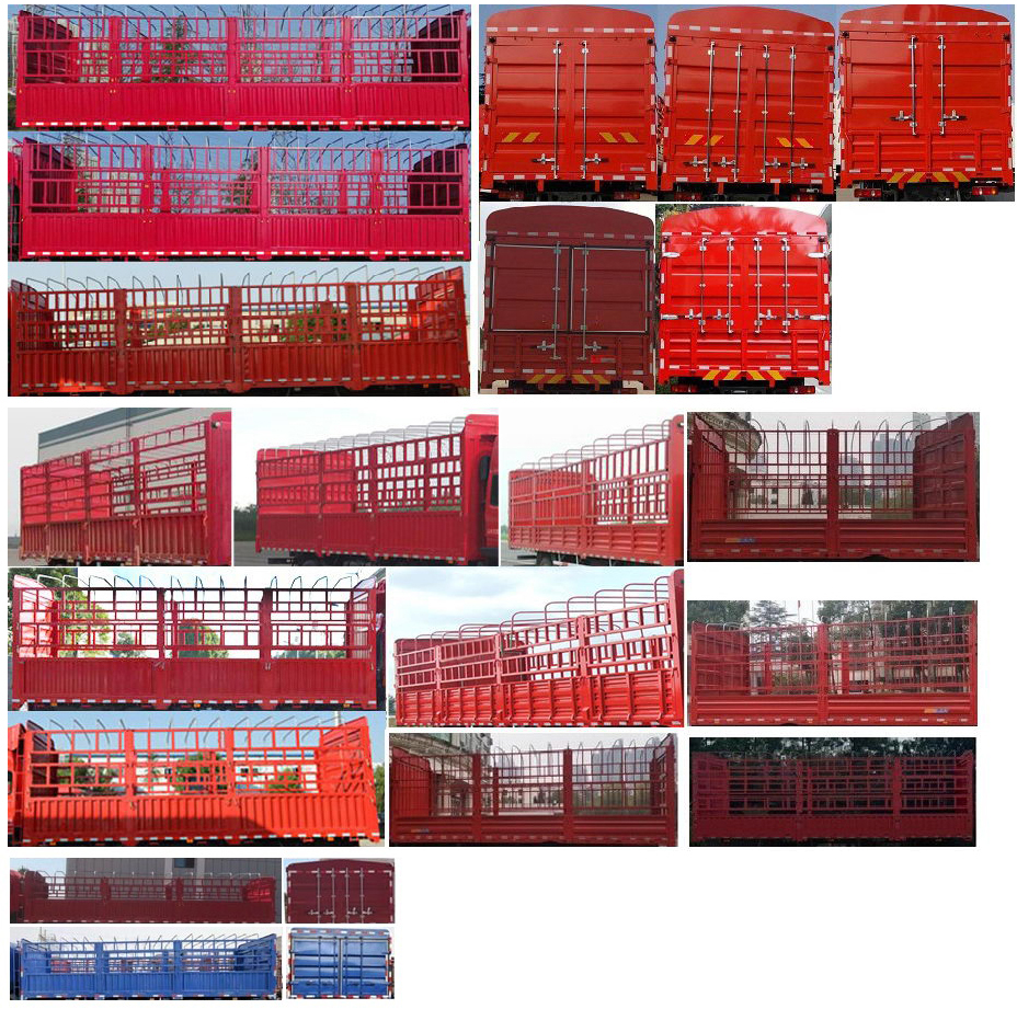 大運牌DYQ5243CCYD6CB倉柵式運輸車公告圖片