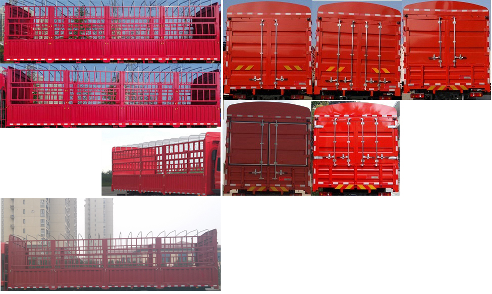 大運牌DYQ5250CCYD6CB倉柵式運輸車公告圖片