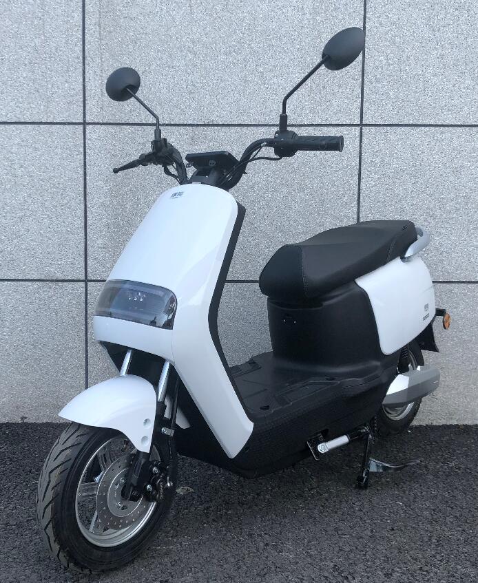 绿能牌LN1200DT-8电动两轮摩托车公告图片