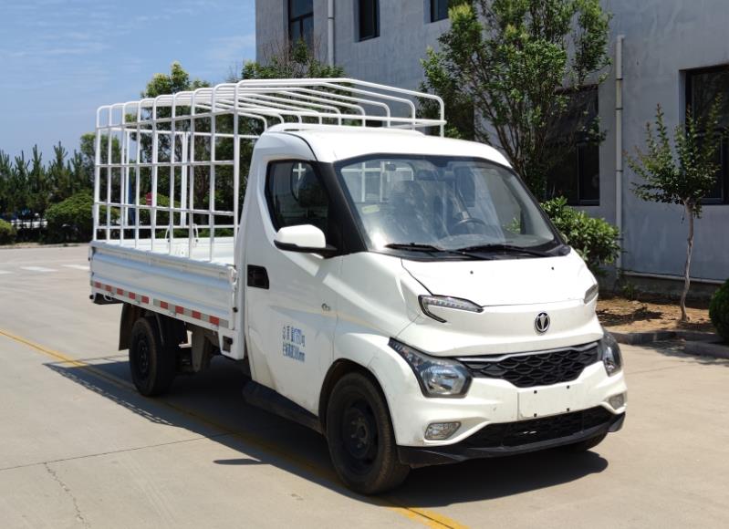 飛碟牌FD5021CCYD79K6-1倉(cāng)柵式運(yùn)輸車(chē)公告圖片