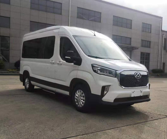 大通牌SH6591J1BEV-1纯电动多用途乘用车图片