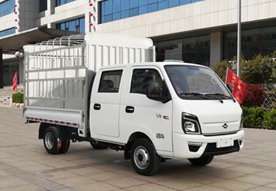 歐鈴牌ZB5030CCYVSD5L倉柵式運(yùn)輸車公告圖片