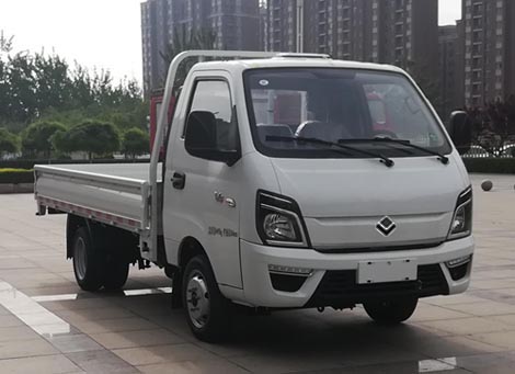 欧铃牌ZB1030VDD2L载货汽车图片