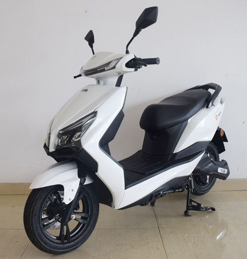 雅迪牌YD1500DT-2F电动两轮摩托车图片