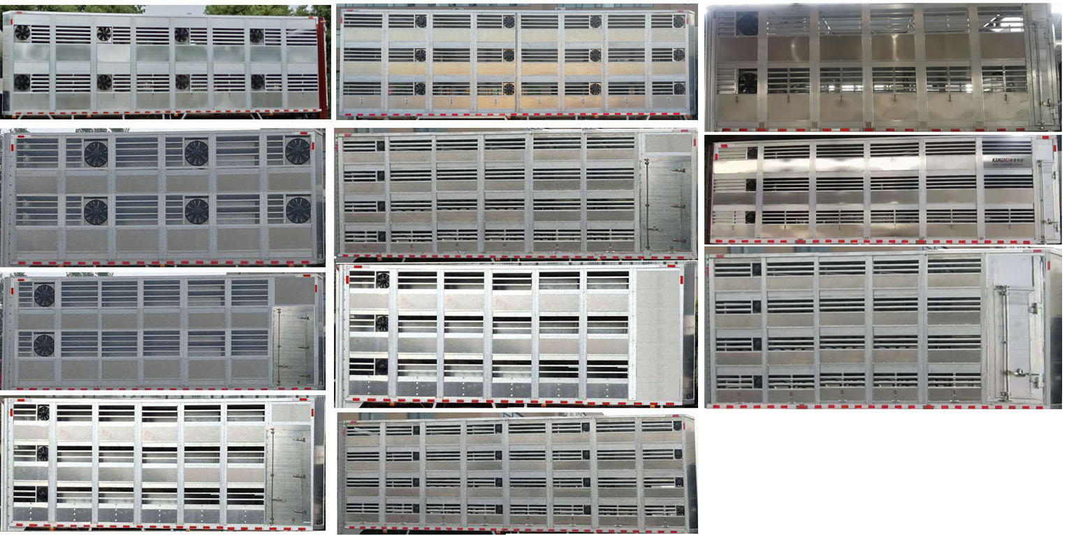聚塵王牌HNY5180XCQD6雛禽運(yùn)輸車公告圖片