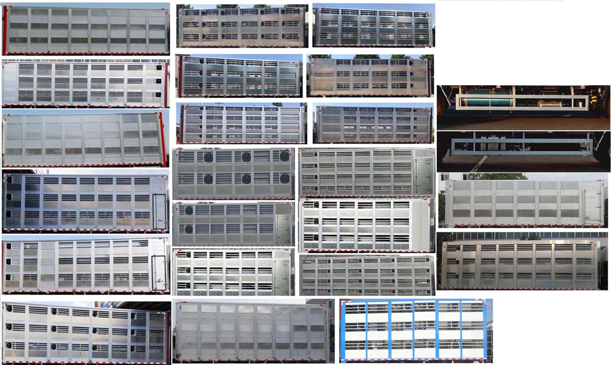 縱昂牌CLT5181XCQBJ6雛禽運(yùn)輸車公告圖片