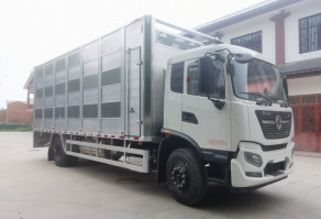 浩天星运牌HTX5188XCQHM6雏禽运输车