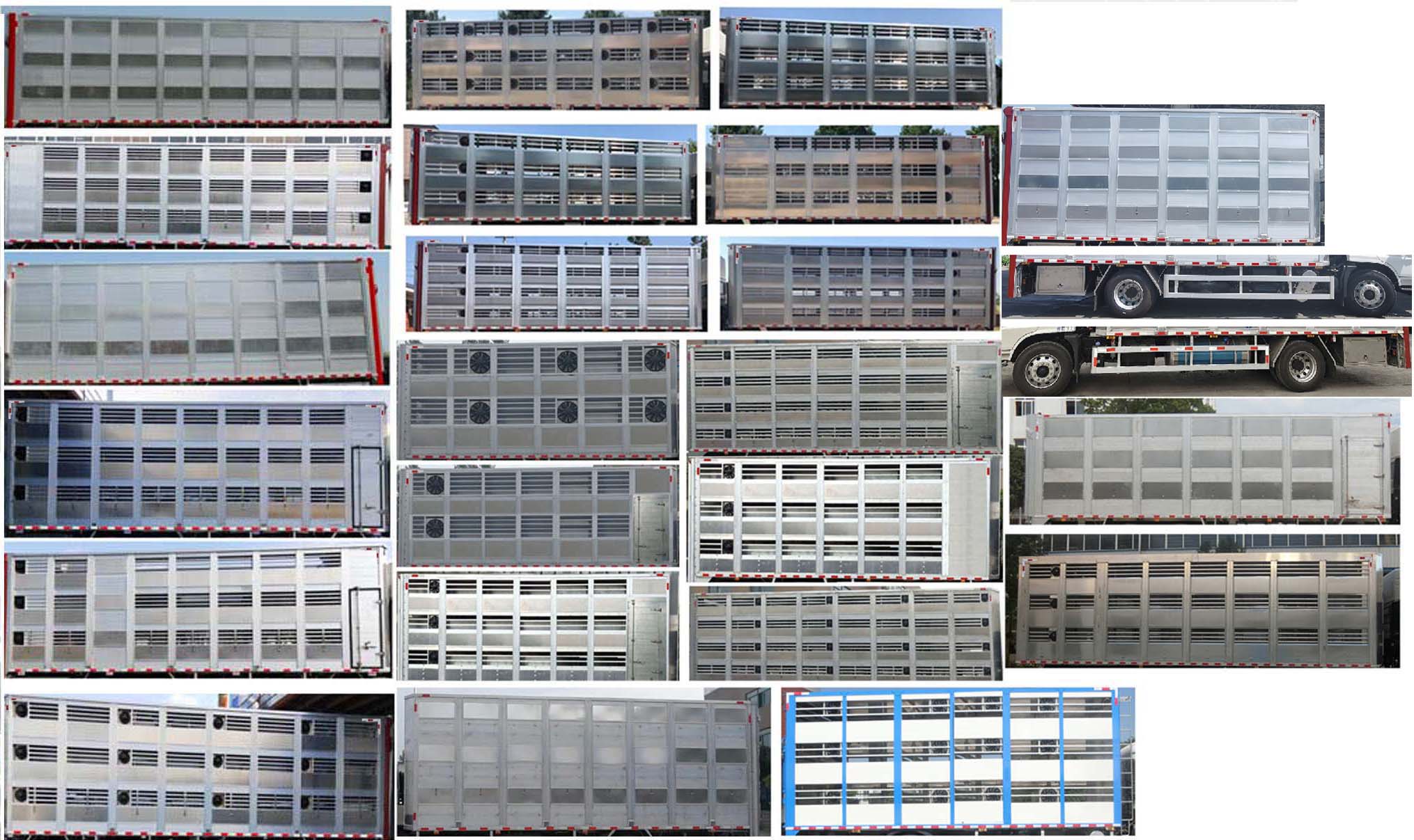 縱昂牌CLT5180XCQDF6雛禽運(yùn)輸車公告圖片