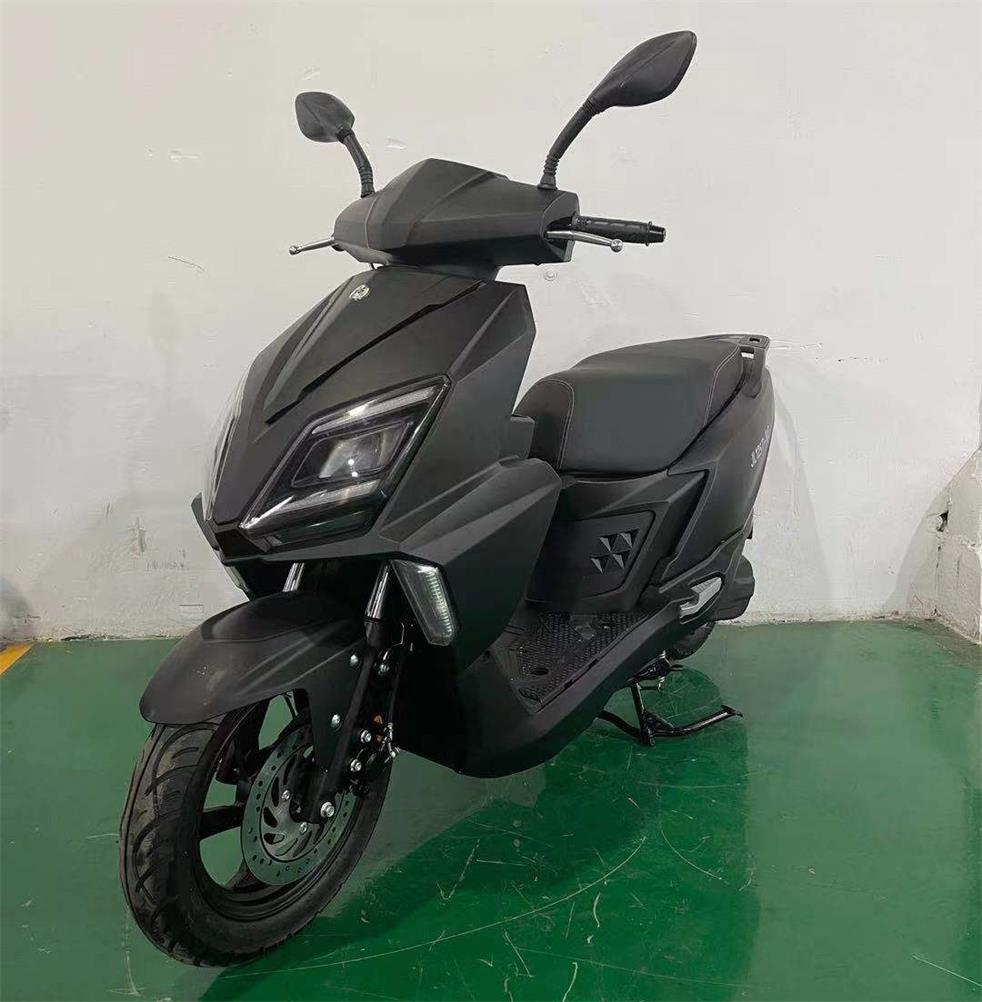 劲力牌JL125T-10E两轮摩托车公告图片