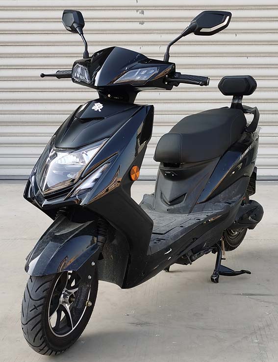 LX1200DT-A 丽象牌纯电动前盘式后盘式电动两轮摩托车图片