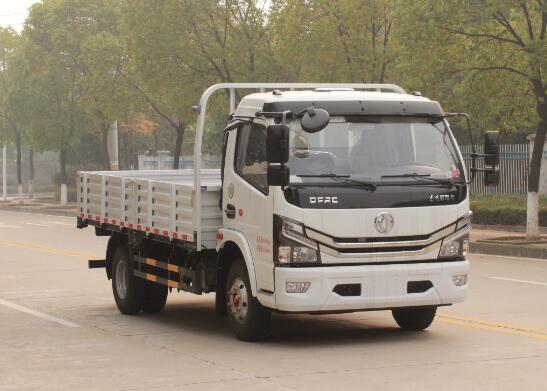 东风牌EQ1041S8CD2载货汽车图片
