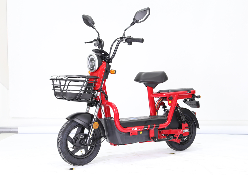 小鸟牌XN500DQT-10电动两轮轻便摩托车公告图片