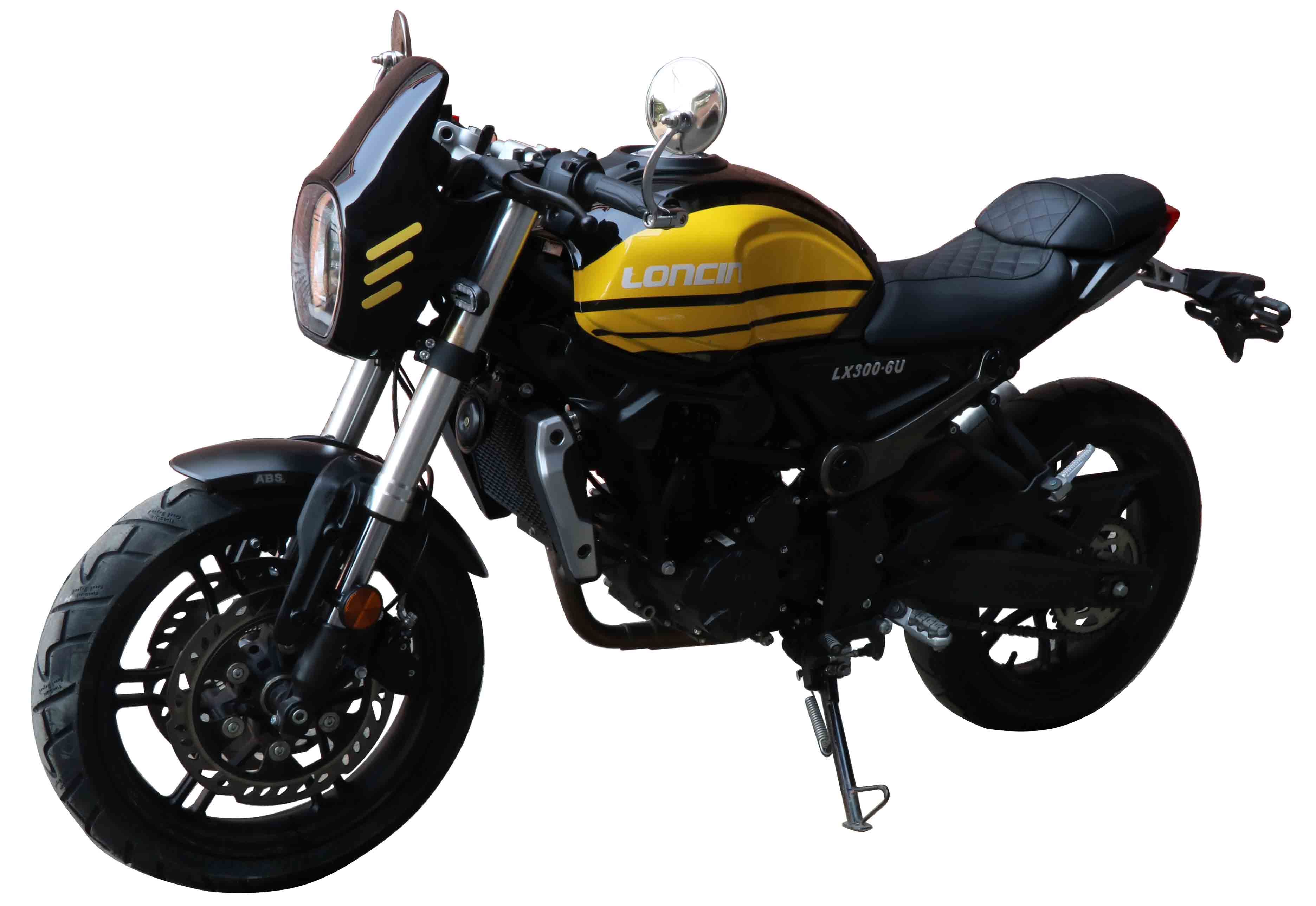 隆鑫牌LX300-6U两轮摩托车公告图片