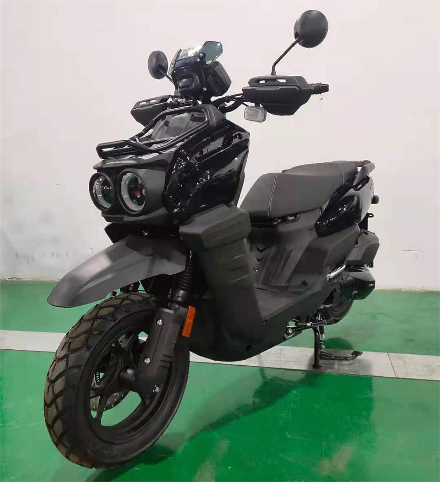 劲力牌JL125T-17E两轮摩托车公告图片