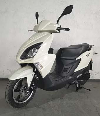 株雅牌ZY125T-2D两轮摩托车公告图片