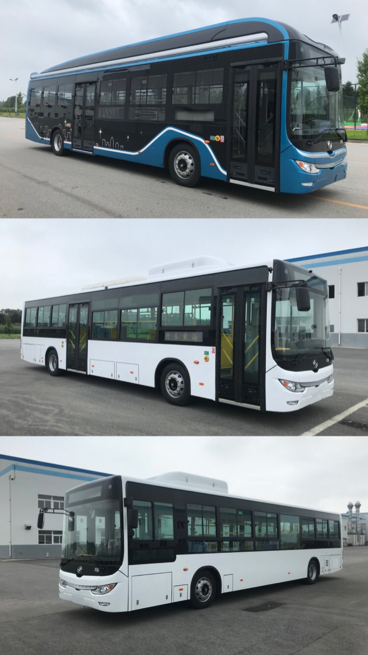 黄海牌DD6129EV23纯电动城市客车公告图片