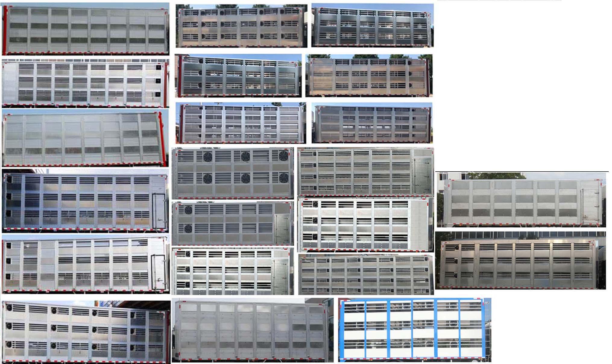 縱昂牌CLT5182XCQCA6雛禽運輸車公告圖片