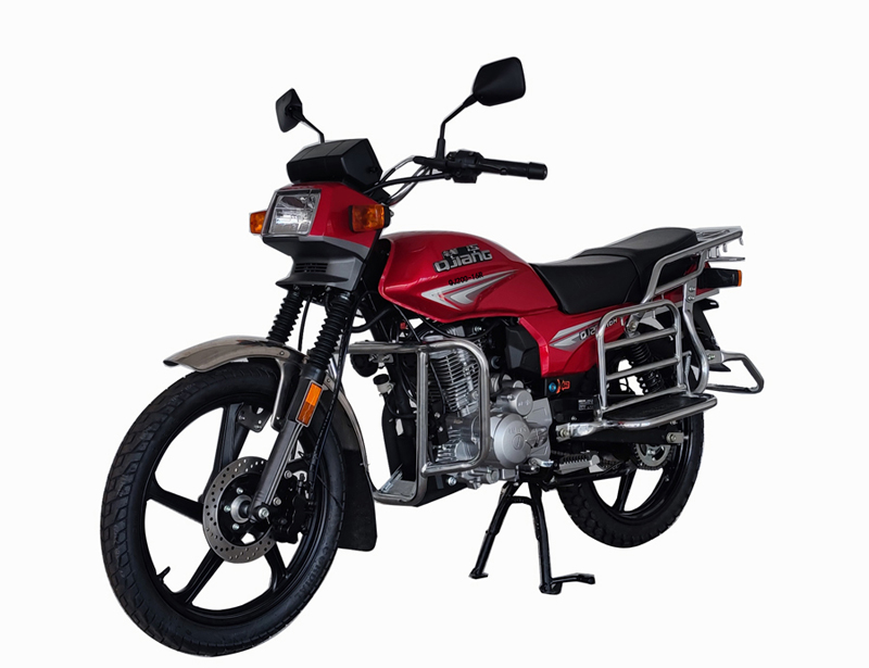 钱江牌QJ200-16R两轮摩托车公告图片