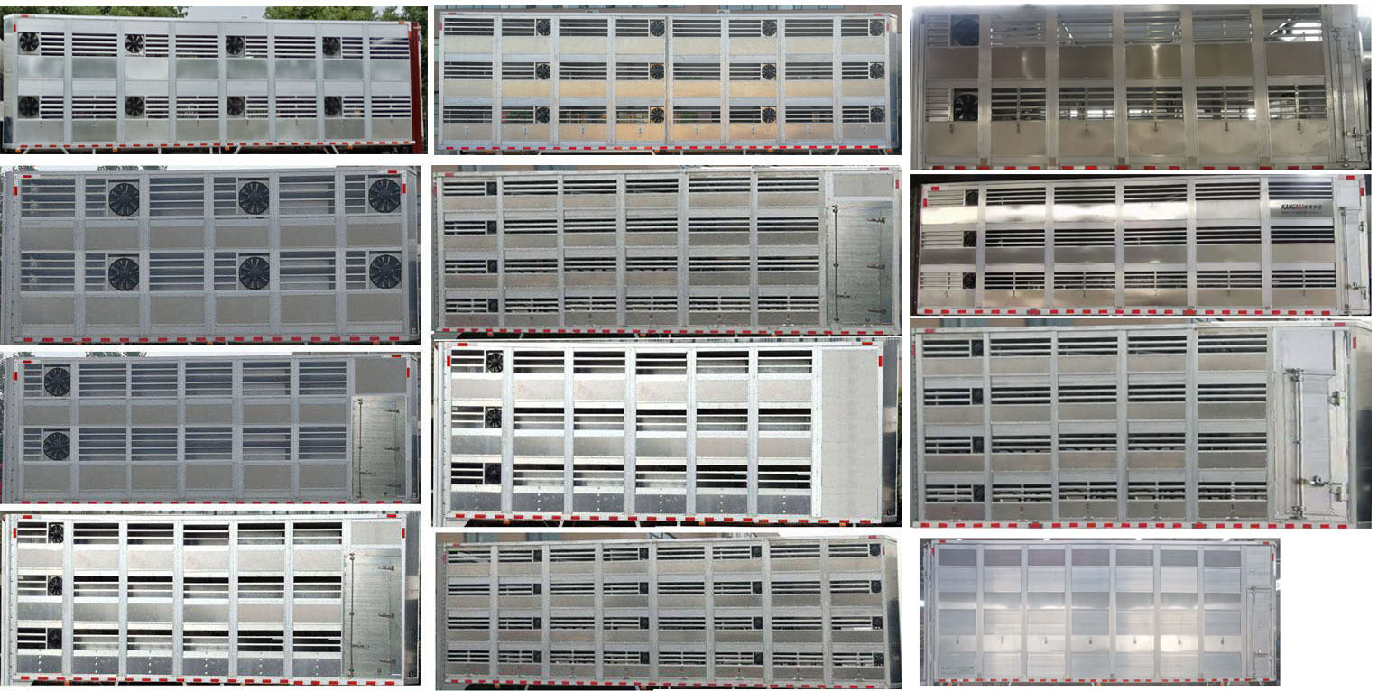 聚塵王牌HNY5180XCQD6雛禽運輸車公告圖片