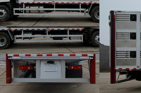 聚塵王牌HNY5180XCQD6雛禽運輸車公告圖片