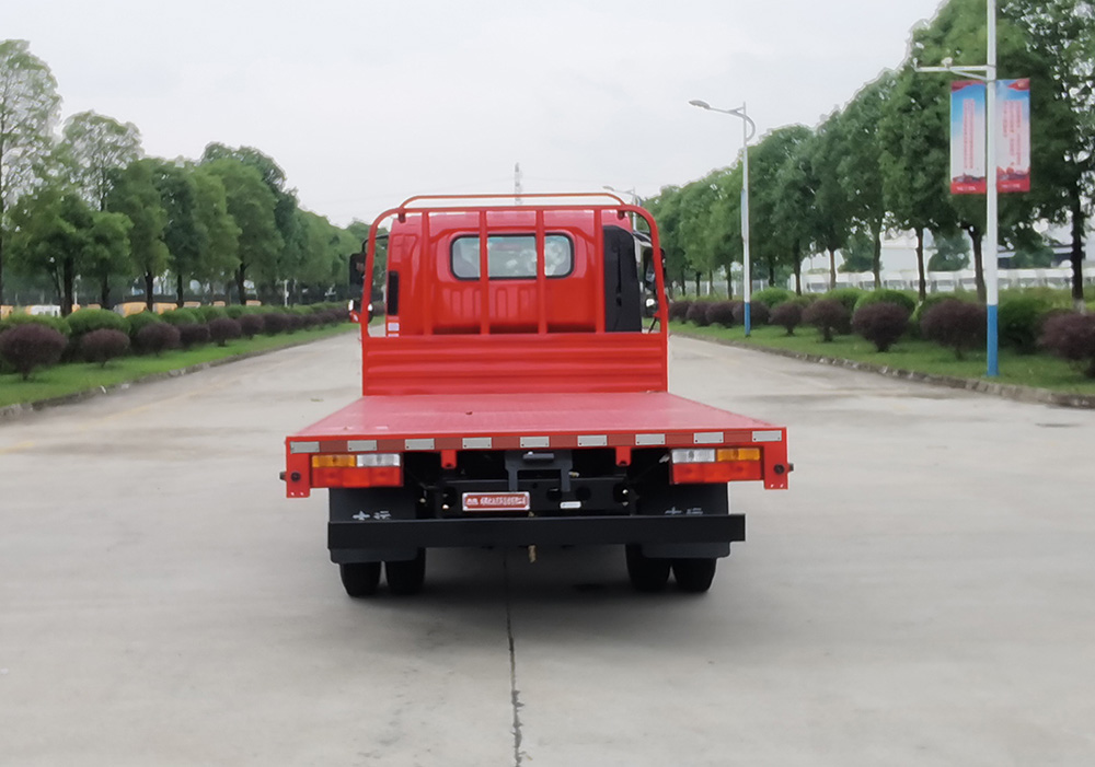 大運(yùn)牌CGC5041TPBHDD33F平板運(yùn)輸車公告圖片