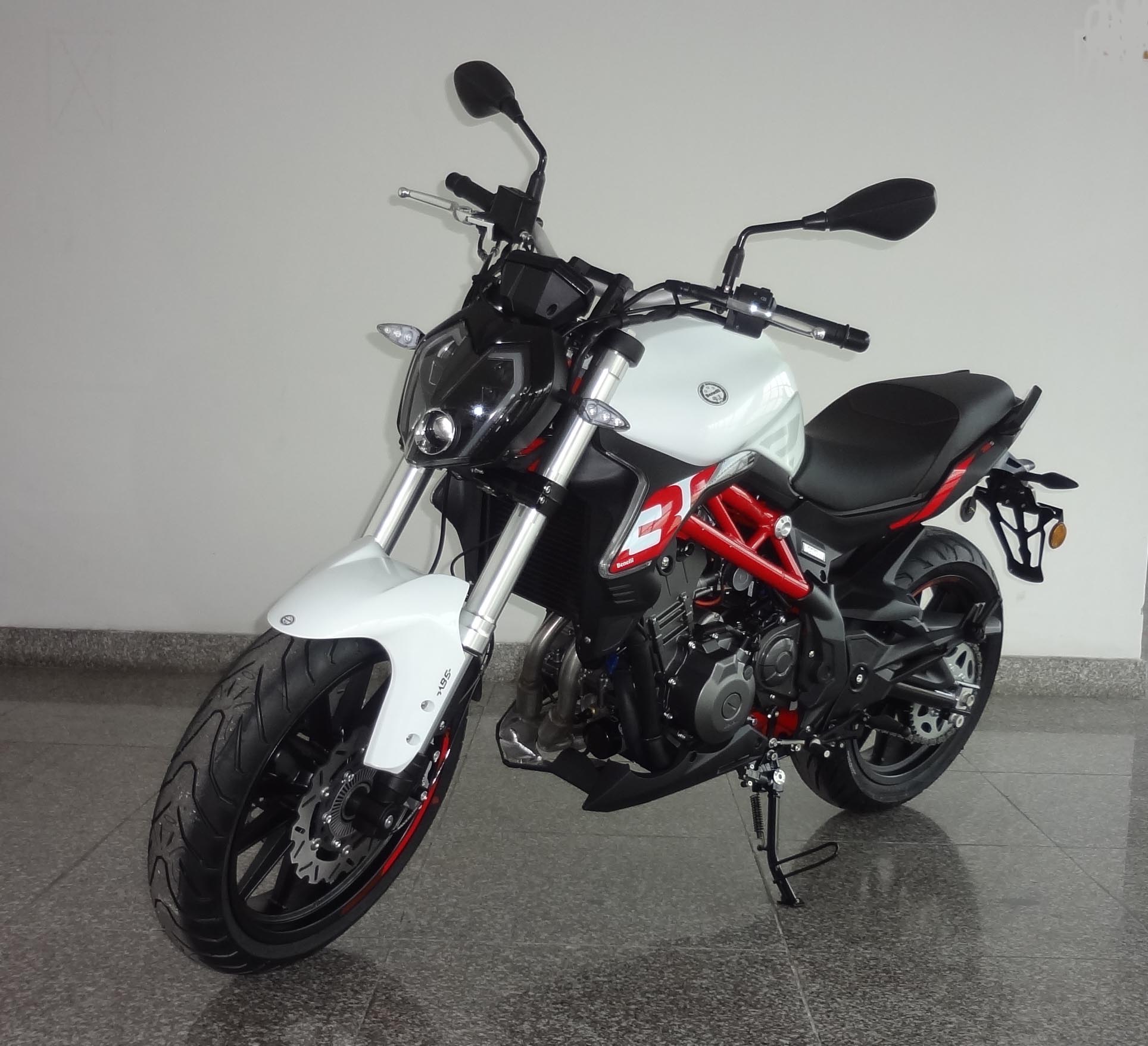 贝纳利牌BJ300GS-3两轮摩托车公告图片