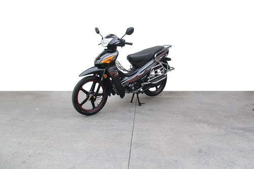 双狮牌SS110-9C两轮摩托车公告图片