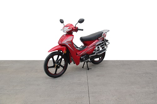 双狮牌SS110-9C两轮摩托车公告图片
