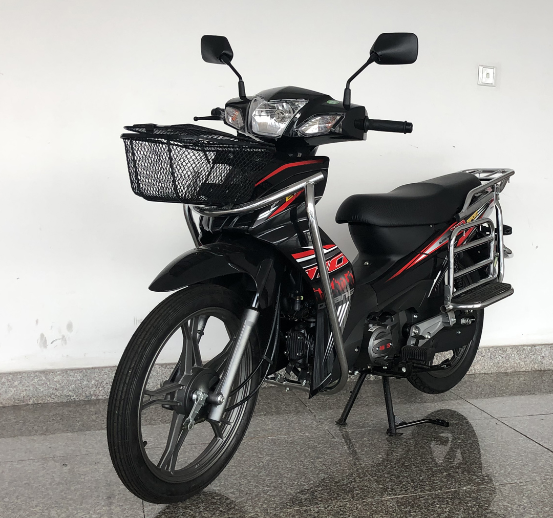钱江牌QJ110-18K两轮摩托车公告图片