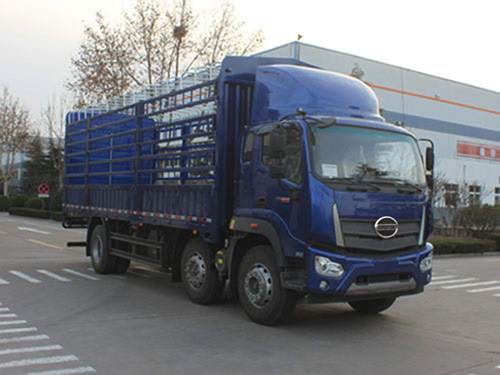 福田牌BJ5254CCYNPFE-01倉柵式運輸車公告圖片