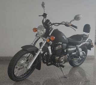 钱江牌QJ250-3C两轮摩托车图片