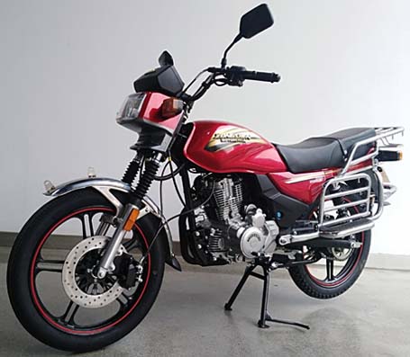 ZS200-10 宗申牌196CC汽油前盘式后盘式两轮摩托车图片