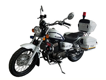 钱江牌QJ250J-3C两轮摩托车图片