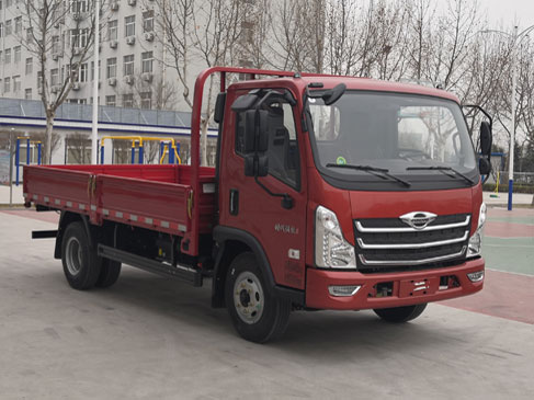 福田牌BJ1046V8JBA-09载货汽车公告图片