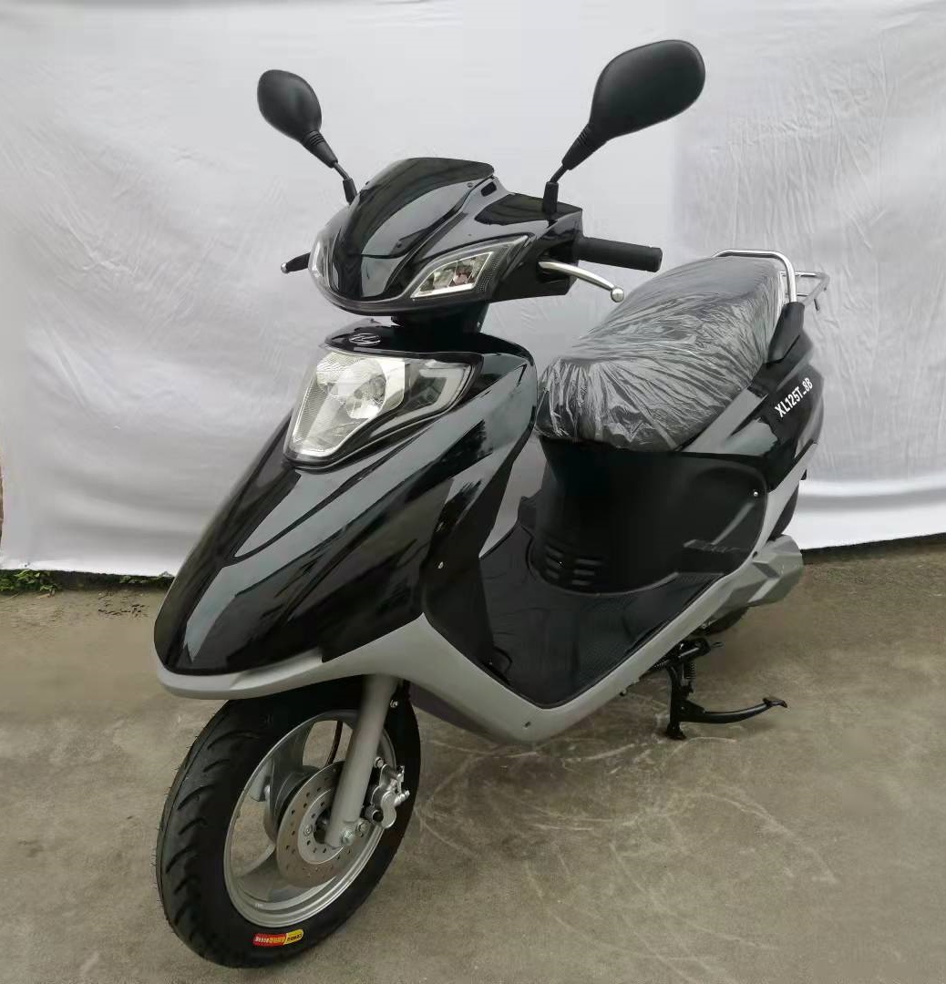 鑫轮牌XL125T-8B两轮摩托车公告图片