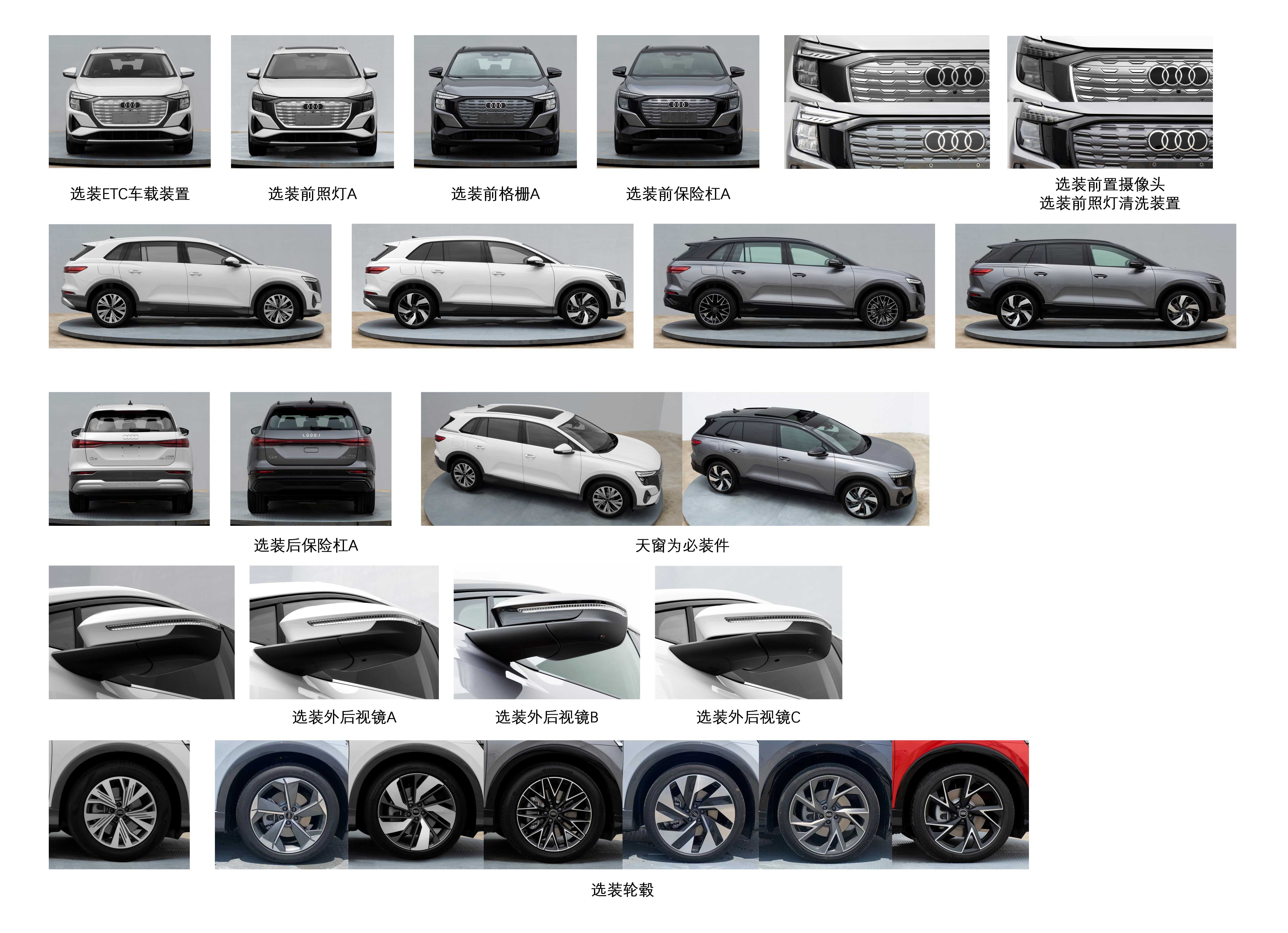 奥迪牌SVW6493BEV纯电动多用途乘用车公告图片