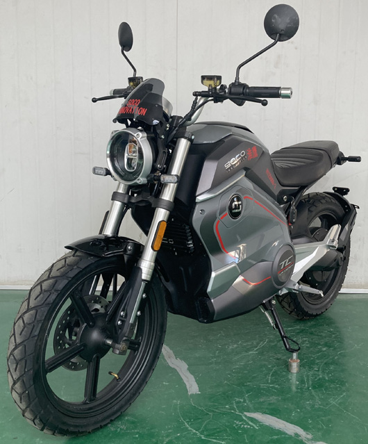 淮鹰牌HY2500D-2电动两轮摩托车公告图片
