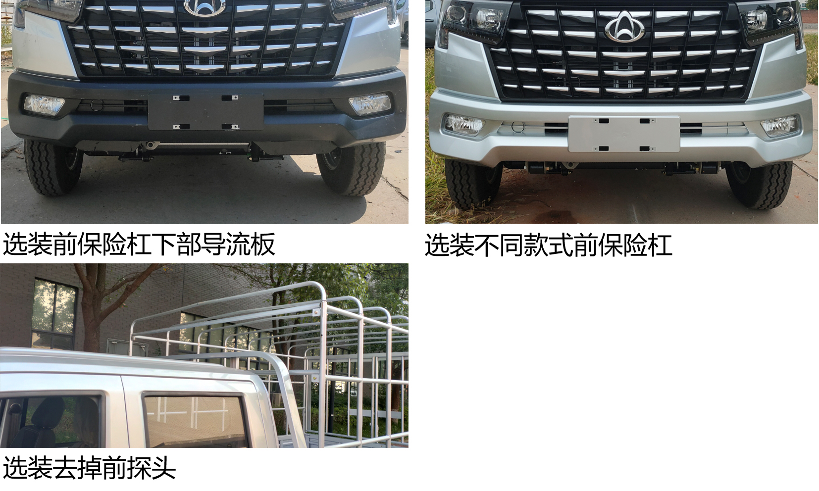 長(zhǎng)安牌SC5031CCYSCAJ6倉(cāng)柵式運(yùn)輸車(chē)公告圖片