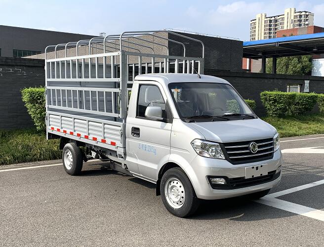 东风牌DXK5021CCYK22H9仓栅式运输车公告图片