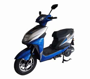 新陵牌XL1000DQT-2电动两轮轻便摩托车公告图片