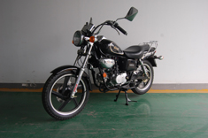 新世纪牌XSJ50Q-2E两轮轻便摩托车公告图片