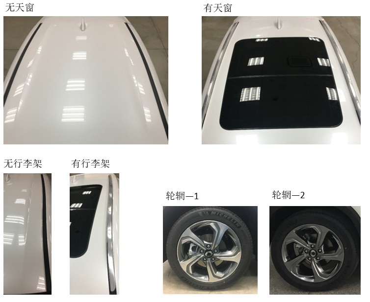 毅威牌DHW7003DHBEV纯电动轿车公告图片