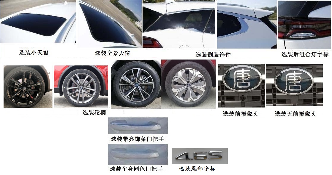 比亚迪牌BYD6490SBEV5纯电动多用途乘用车公告图片